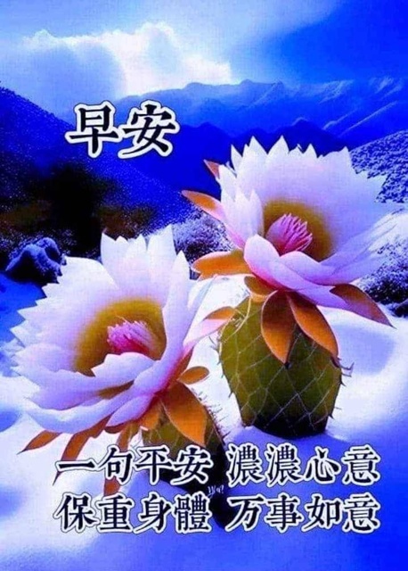 按我可連結至更清楚的圖片